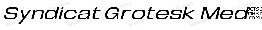 Syndicat Grotesk Med字体转换